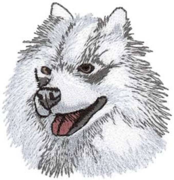 Picture of Samoyed Machine Embroidery Design