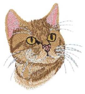 Picture of Bengal Machine Embroidery Design