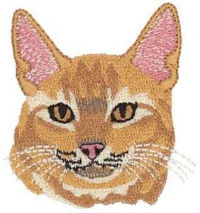 Picture of Abyssinian Machine Embroidery Design