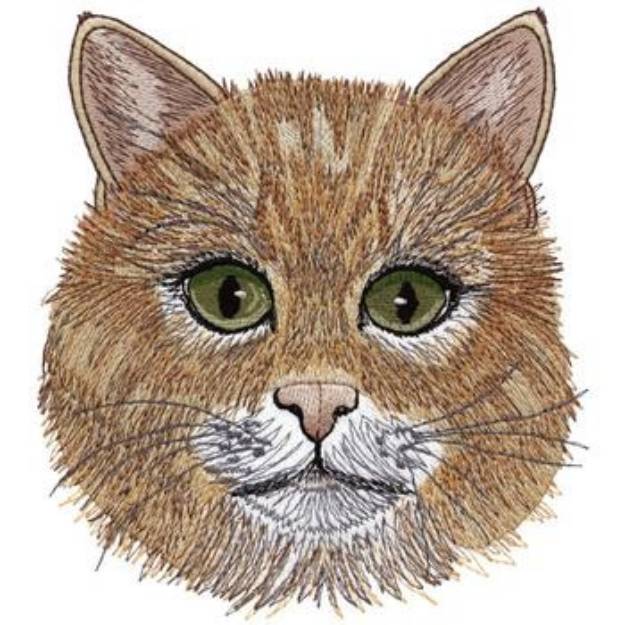 Picture of Orange Heritage Coon Machine Embroidery Design