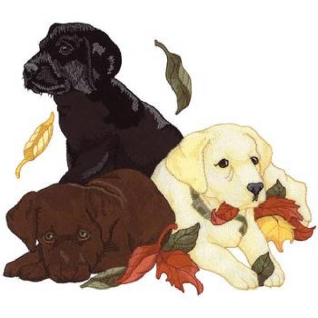Picture of 3 Lab Puppies Machine Embroidery Design