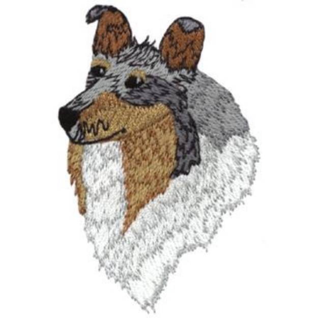 Picture of Blue Merle Collie Machine Embroidery Design