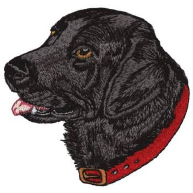 Picture of Black Labrador Machine Embroidery Design