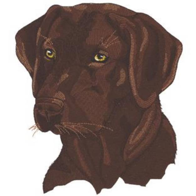 Picture of Chocolate Lab Machine Embroidery Design