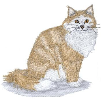 Maine Coon Cat Machine Embroidery Design