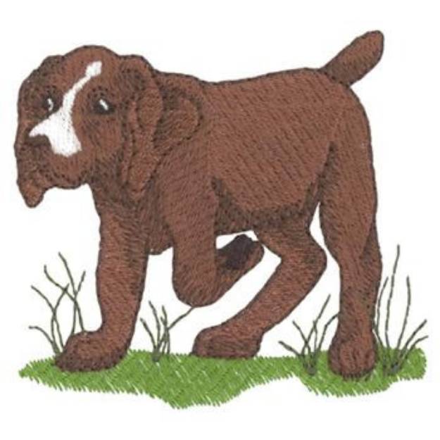 Picture of German Pointer Machine Embroidery Design