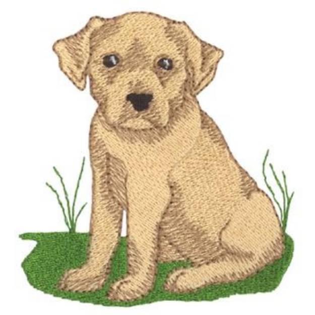 Picture of Pit Bull Machine Embroidery Design