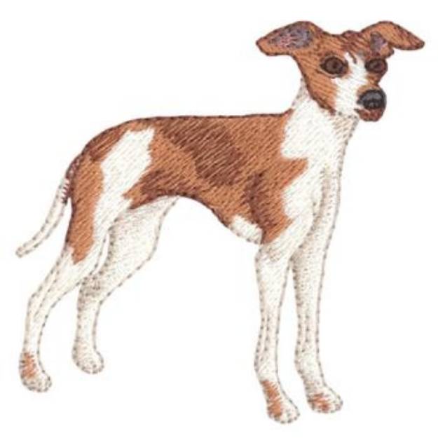Picture of Italian Greyhound Machine Embroidery Design