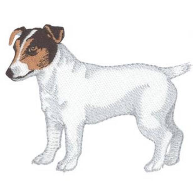 Picture of Jack Russell Terrier Machine Embroidery Design