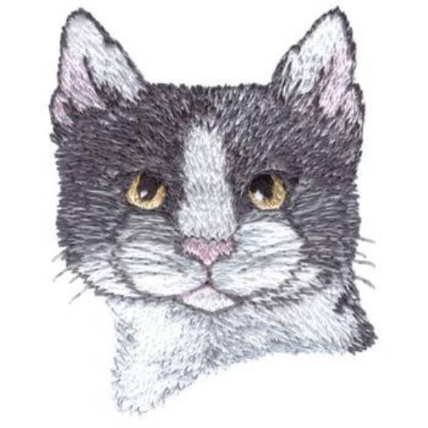 Picture of American Wirehair Machine Embroidery Design