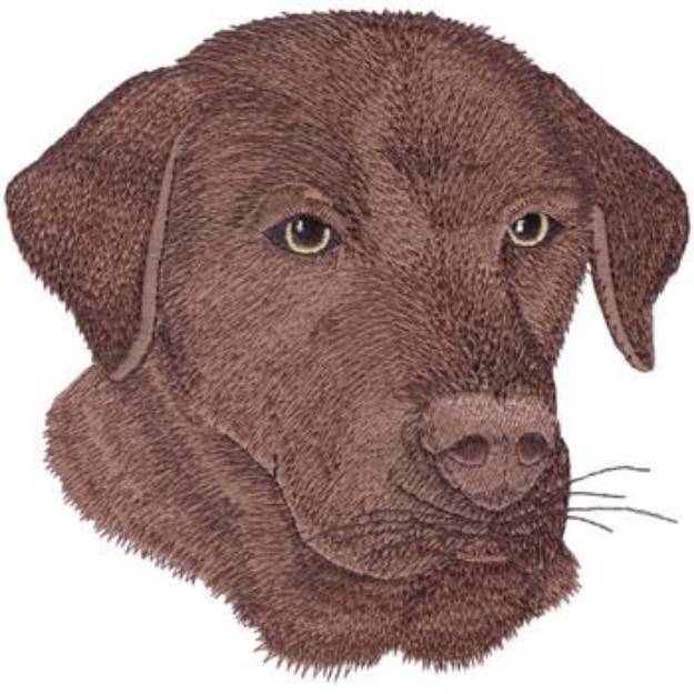 Picture of Chocolate Lab Machine Embroidery Design