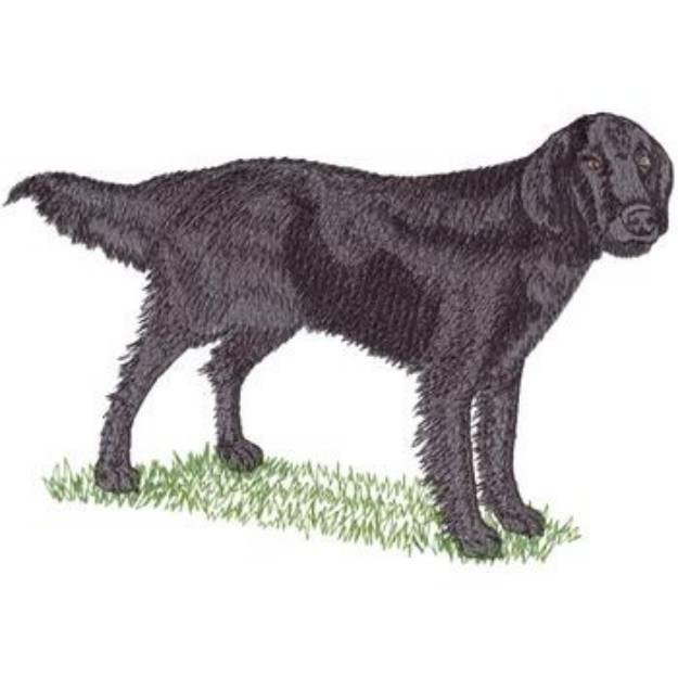 Picture of Flat Coated Retriever Machine Embroidery Design