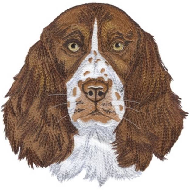Picture of English Springer Spaniel Machine Embroidery Design