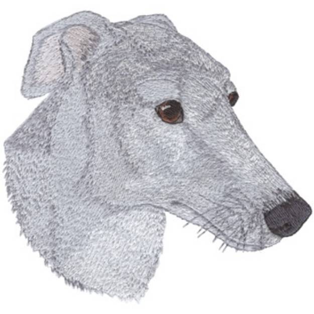 Picture of Greyhound Head Machine Embroidery Design