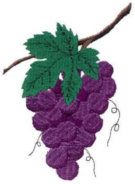 Picture of Grapes Machine Embroidery Design