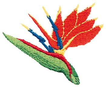 Bird Of Paradise Machine Embroidery Design