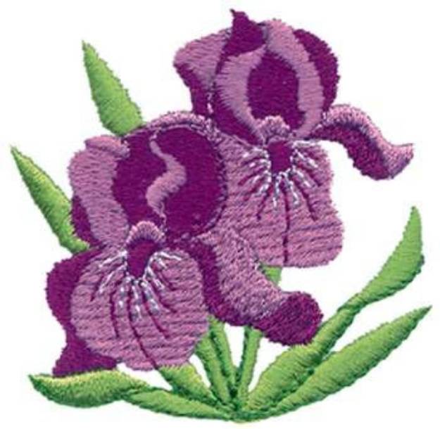 Picture of Iris Machine Embroidery Design