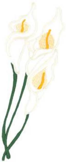 Picture of Calla Lilies Outline Machine Embroidery Design