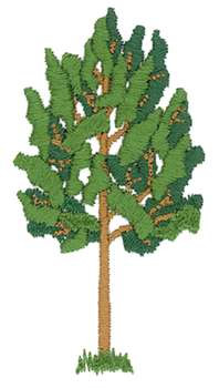 Aspen Tree Machine Embroidery Design