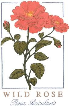 Wild Rose Machine Embroidery Design