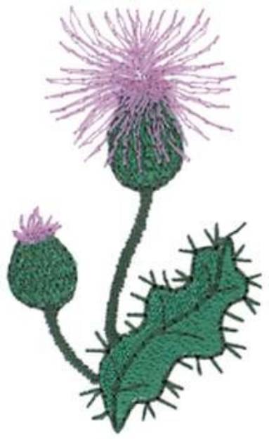 Picture of Thistle Machine Embroidery Design