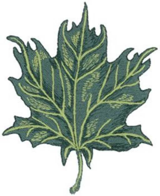 Picture of Red Maple Leaf Machine Embroidery Design