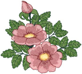 Wild Roses Machine Embroidery Design