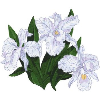Cattleya Orchids Machine Embroidery Design