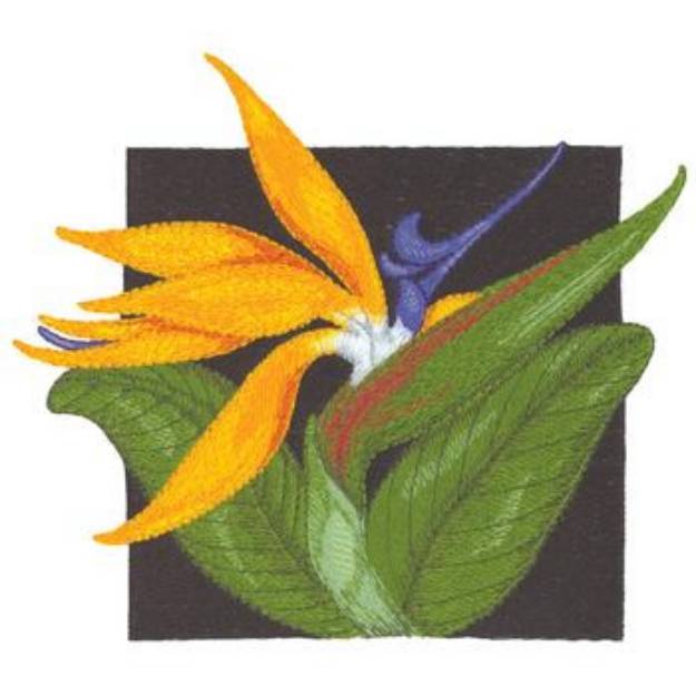 Picture of Bird Of Paradise Machine Embroidery Design