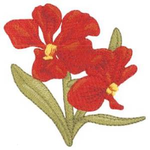 Picture of Vandaceous Orchids Machine Embroidery Design