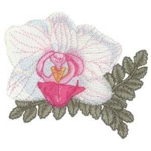 Picture of Moth Orchid Machine Embroidery Design