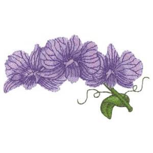 Picture of Dendrobium Orchids Machine Embroidery Design