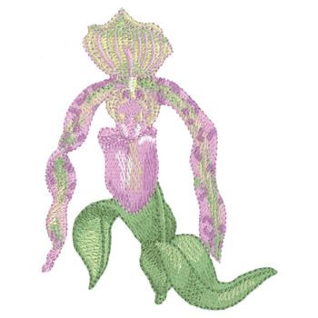 Lady Slipper Orchid Machine Embroidery Design