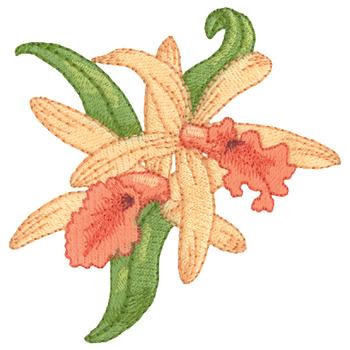 Laelia Orchids Machine Embroidery Design