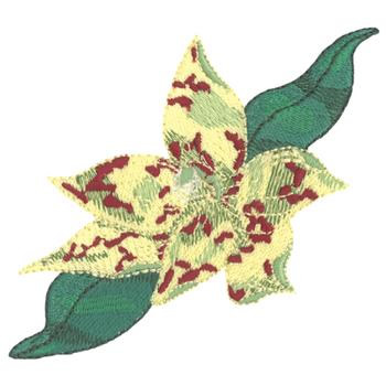 Leopard Sun Orchid Machine Embroidery Design