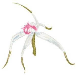 Picture of Spider Orchid Machine Embroidery Design