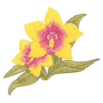 Bi-color Orchids Machine Embroidery Design