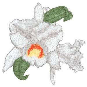 Picture of Cattleya Orchid Machine Embroidery Design