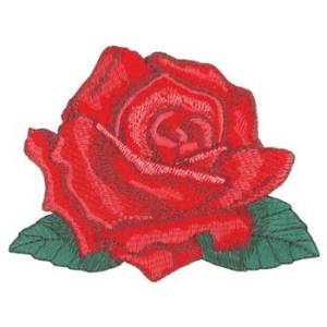 Picture of Mr. Lincoln Rose Machine Embroidery Design