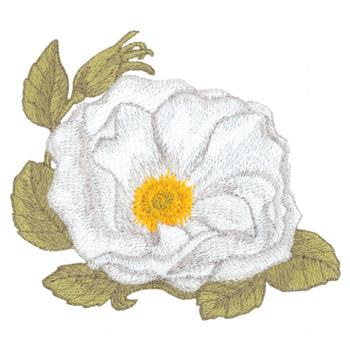 White Rose Machine Embroidery Design