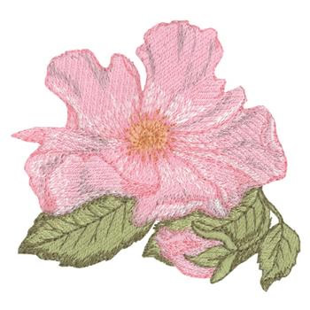 Dainty Bess Rose Machine Embroidery Design