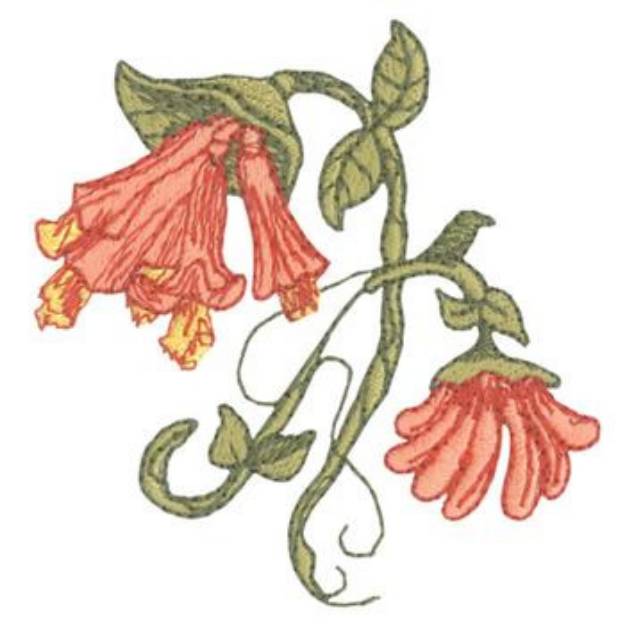 Picture of Orange Honeysuckle Machine Embroidery Design