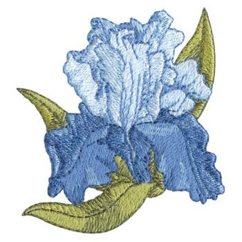 Blue Iris Machine Embroidery Design