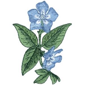 Picture of Periwinkle Machine Embroidery Design