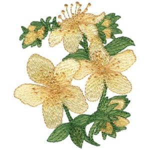 Picture of St. Johns Wort Machine Embroidery Design