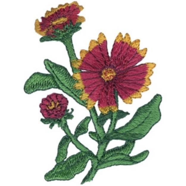 Picture of Indian Blanket Machine Embroidery Design