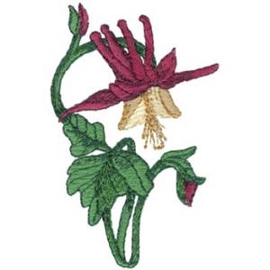 Picture of Western Columbine Machine Embroidery Design