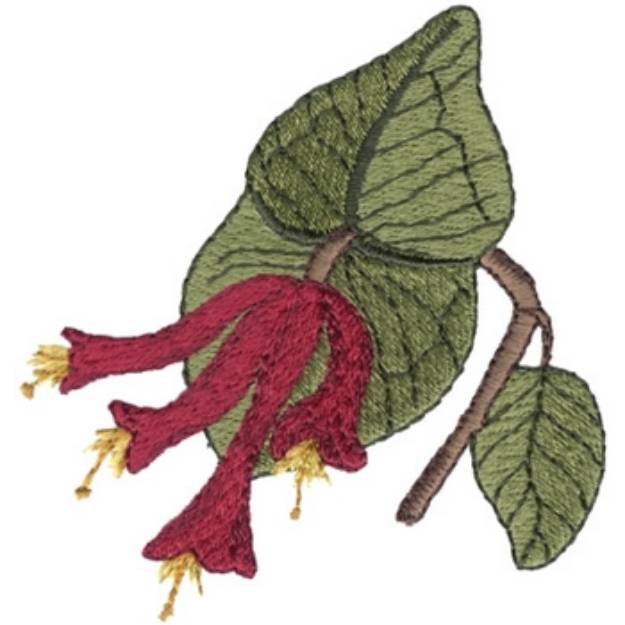 Picture of Trumpet Honeysuckle Machine Embroidery Design