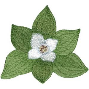 Picture of Bunchberry Machine Embroidery Design