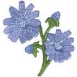 Picture of Chicory Machine Embroidery Design